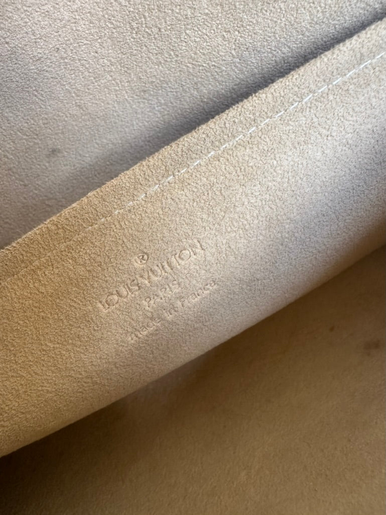 Louis Vuitton Monogram Pochette Twin