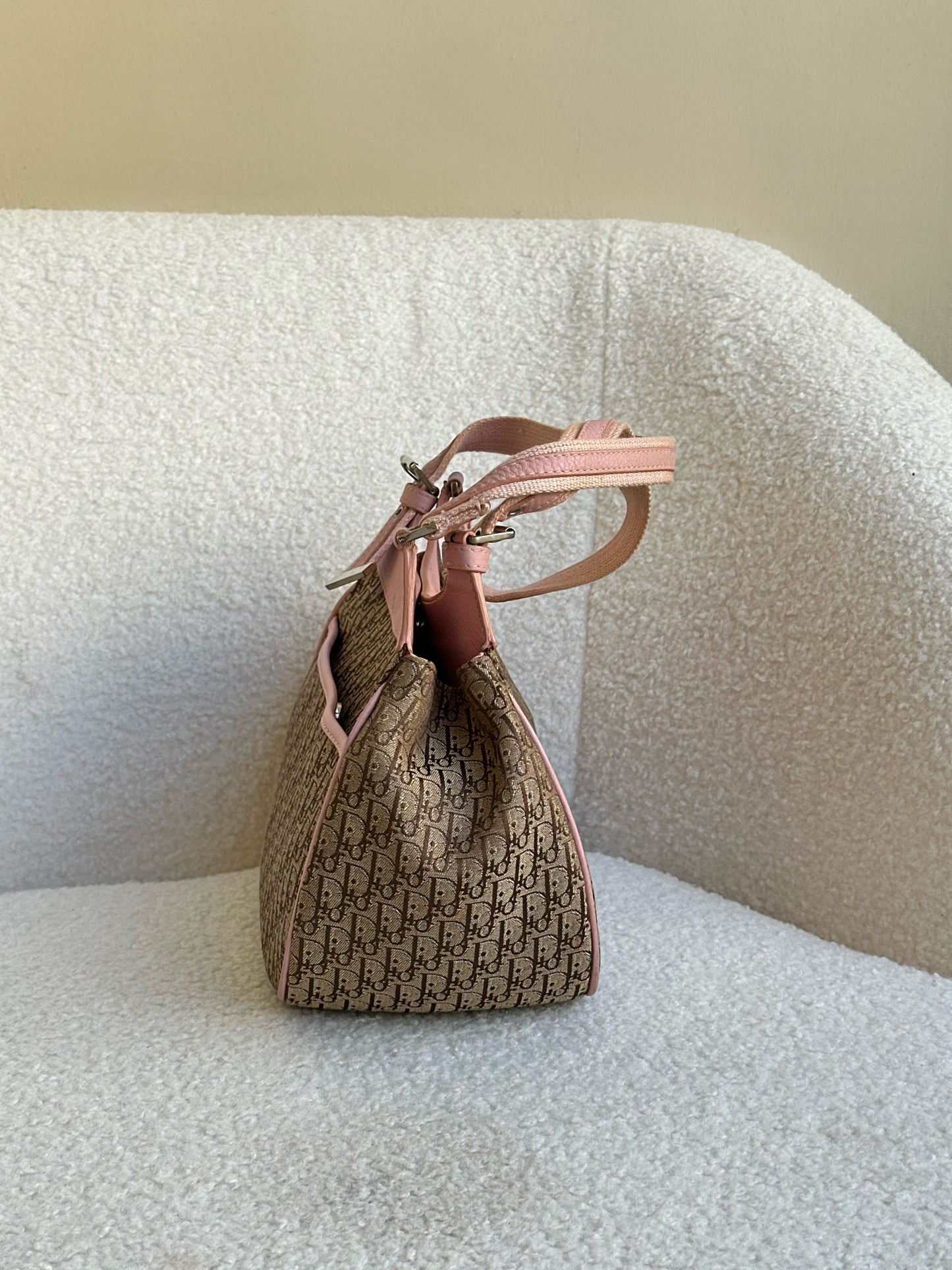 Christian Dior Monogram Bag