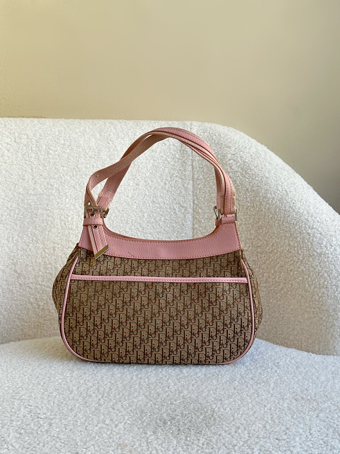 Christian Dior Monogram Bag