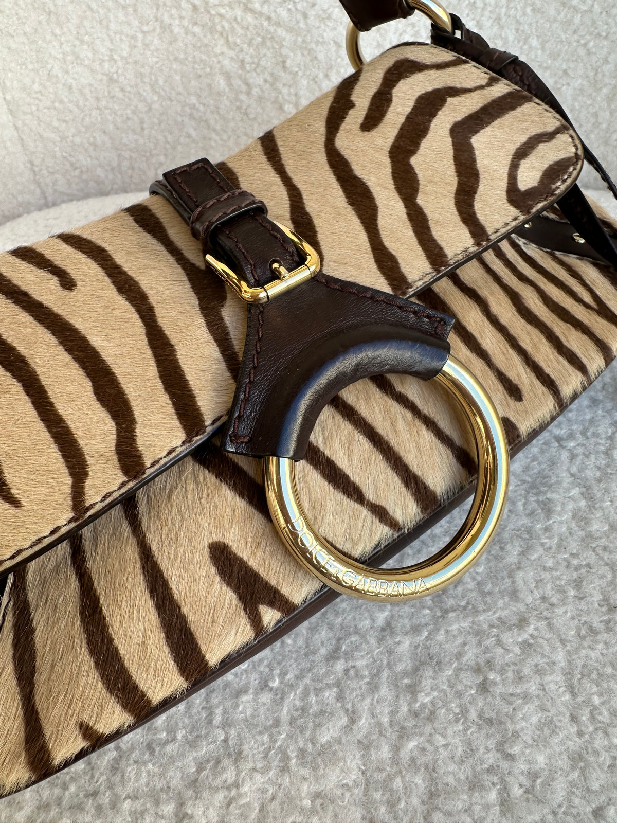 Dolce&Gabbana Tiger Pochette