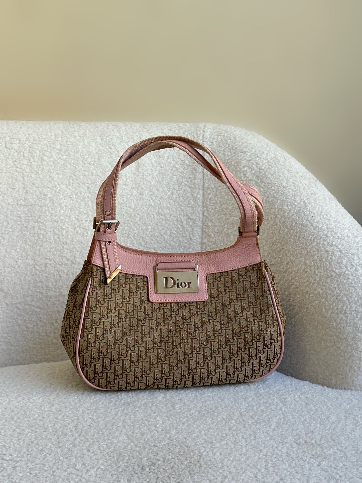 Christian Dior Monogram Bag
