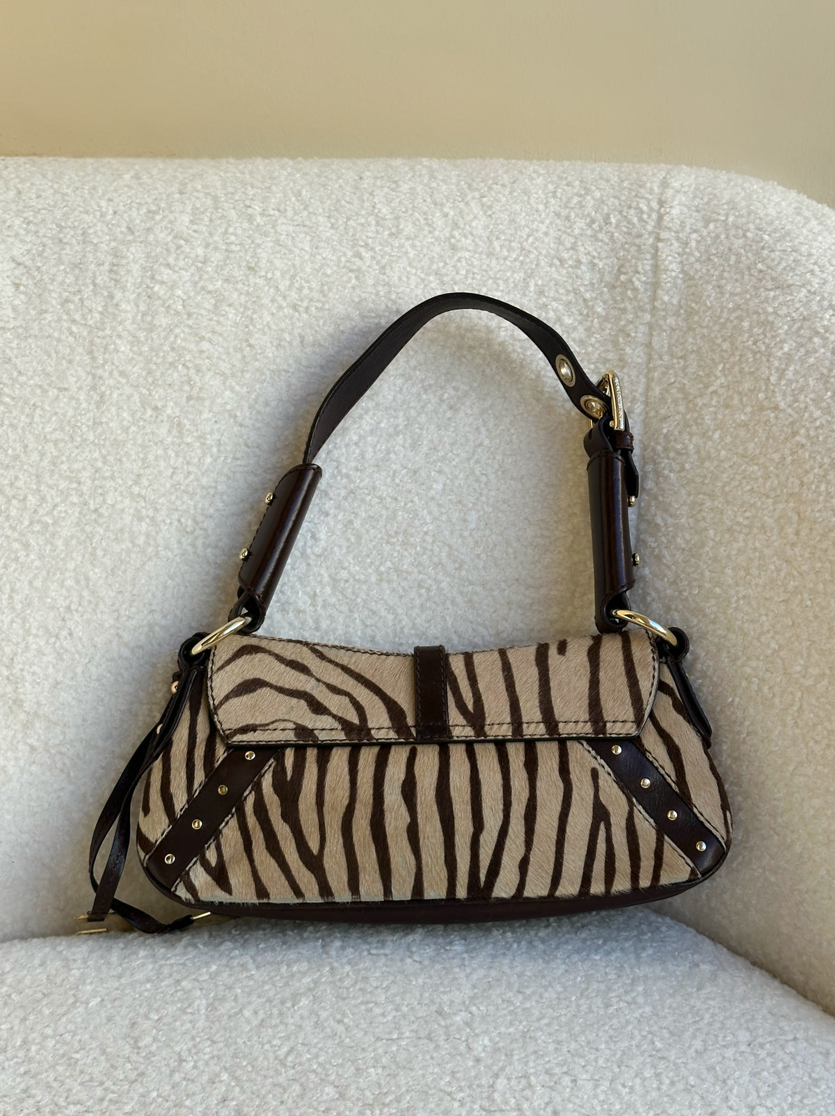 Dolce&Gabbana Tiger Pochette