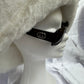 Gucci Sunglasses with box