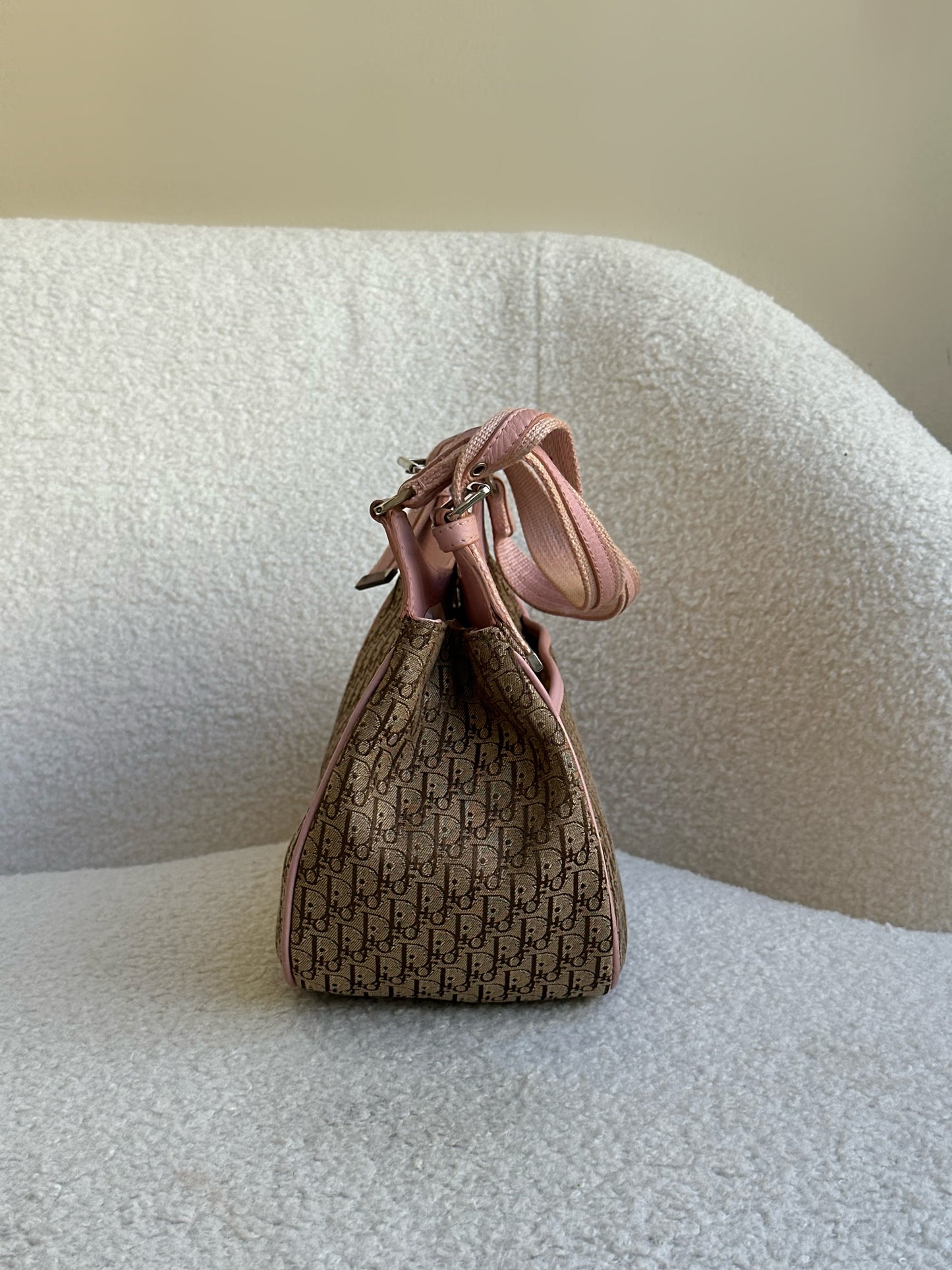 Christian Dior Monogram Bag