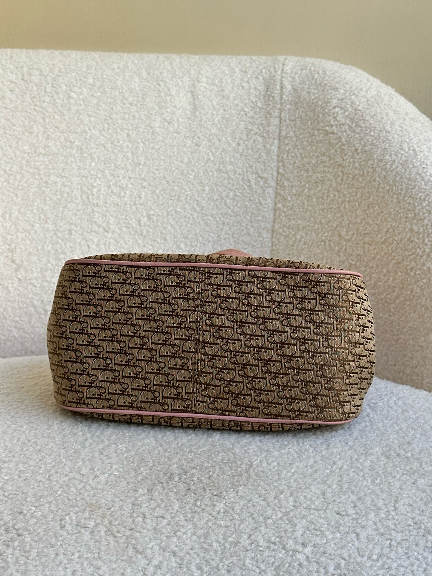 Christian Dior Monogram Bag